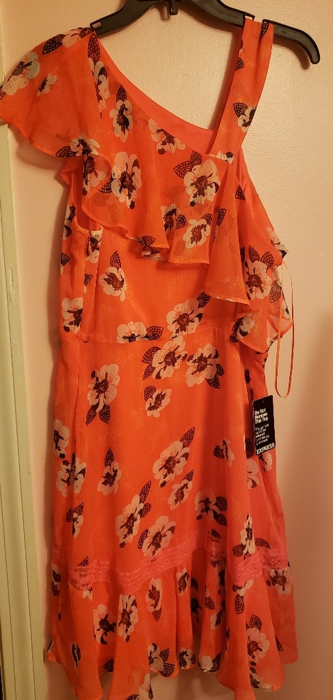Express one shoulder dress